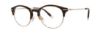 Picture of Penguin Eyeglasses The Dawson A-Fit