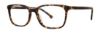 Picture of Elliott Ives Eyeglasses Pinzote