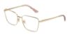 Picture of Jimmy Choo Eyeglasses JC2003