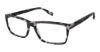 Picture of Evatik Eyeglasses E-9269