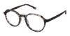 Picture of Evatik Eyeglasses E-9247