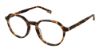 Picture of Evatik Eyeglasses E-9247