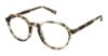 Picture of Evatik Eyeglasses E-9247