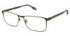 Picture of Evatik Eyeglasses E-9233