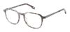 Picture of Evatik Eyeglasses E-9207
