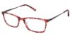 Picture of Kliik Denmark Eyeglasses K-718