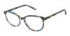 Picture of Kliik Denmark Eyeglasses K-717