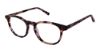 Picture of Superflex Eyeglasses SF-645