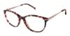 Picture of Superflex Eyeglasses SF-640