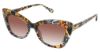 Picture of Fysh Sunglasses F-2063