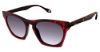 Picture of Fysh Sunglasses F-2031