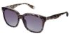 Picture of Fysh Sunglasses F-2010