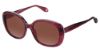 Picture of Fysh Sunglasses F-2009