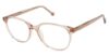 Picture of Otp Eyeglasses OTP-141