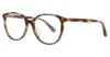 Picture of Toms Eyeglasses SADIE