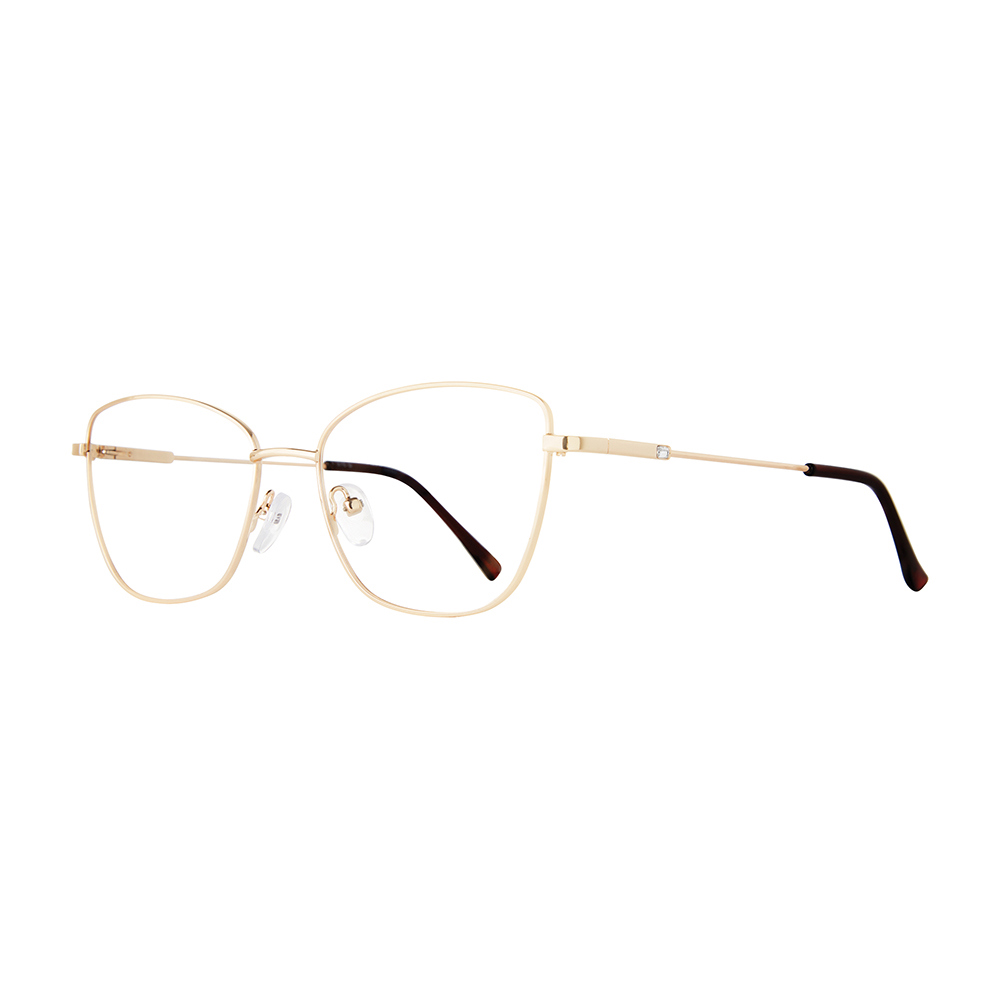 Picture of Stylewise Eyeglasses SW460