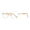 Picture of Stylewise Eyeglasses SW461