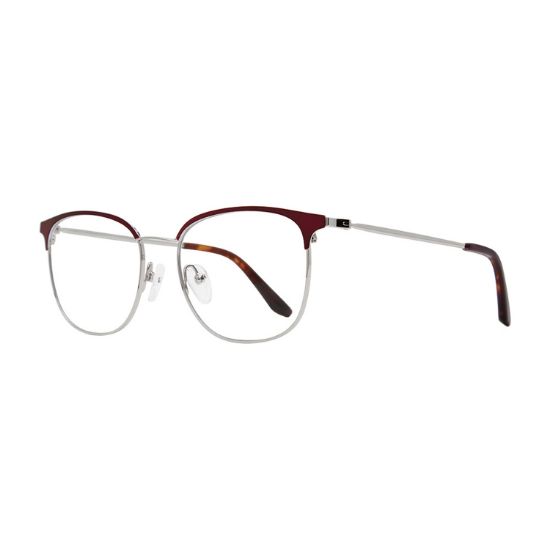 Picture of Visi Eyeglasses VS100
