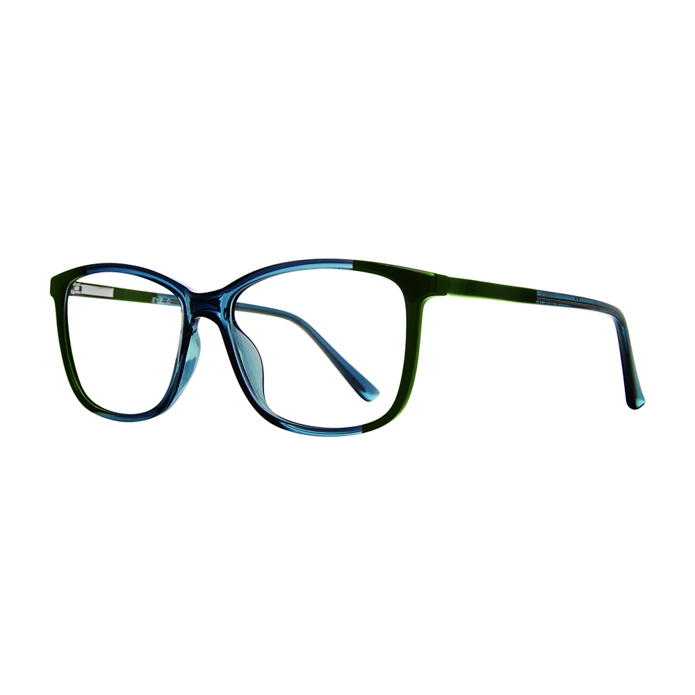 Picture of Georgetown Eyeglasses GTN809
