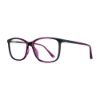 Picture of Georgetown Eyeglasses GTN809