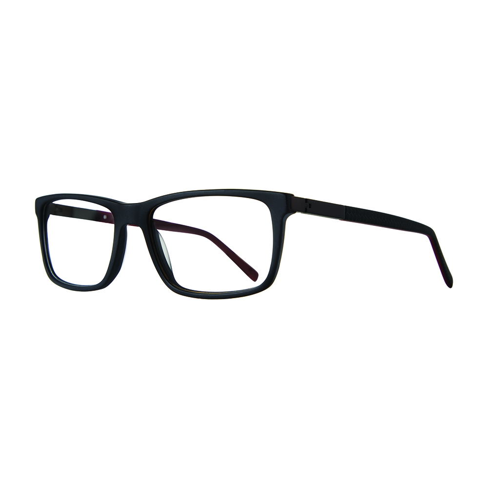 Picture of Workman Eyeglasses WK203