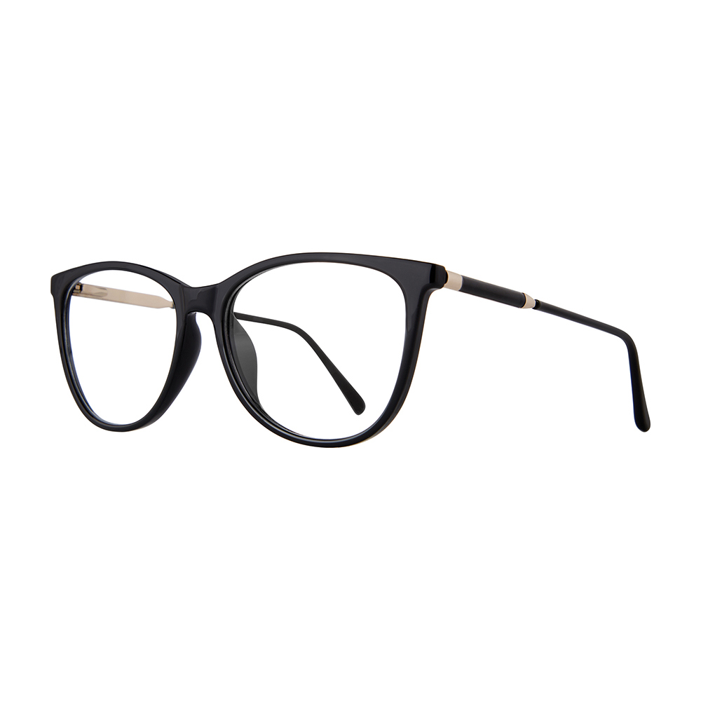 Picture of Stylewise Eyeglasses SW462