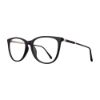 Picture of Stylewise Eyeglasses SW462