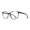 Picture of Stylewise Eyeglasses SW463