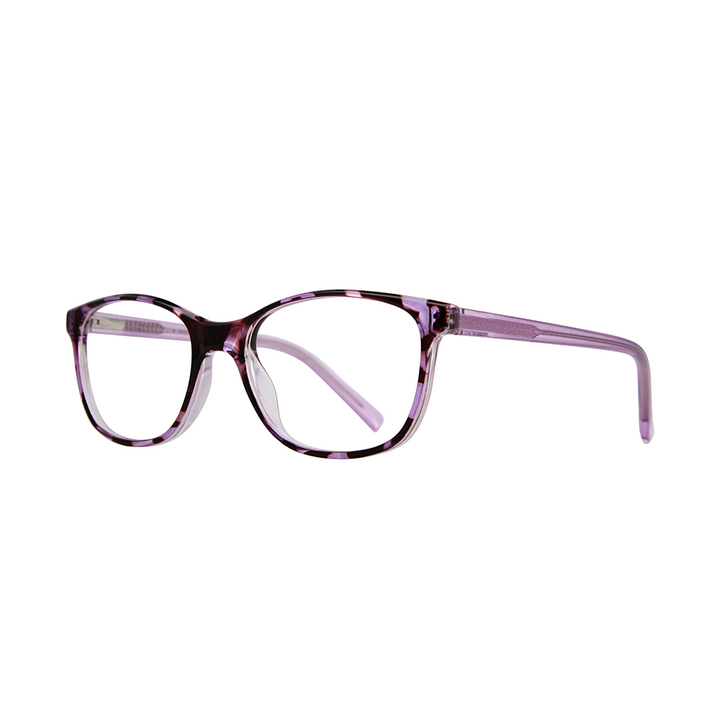 Picture of Stylewise Eyeglasses SW535