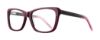 Picture of Eight to Eighty Eyeglasses Autumn