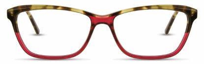 Picture of Adin Thomas Eyeglasses AT-326