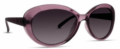 Picture of INVU Sunglasses INVU-117