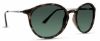 Picture of INVU Sunglasses INVU-119