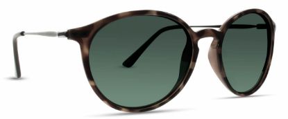 Picture of INVU Sunglasses INVU-119
