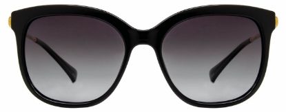 Picture of INVU Sunglasses INVU-137