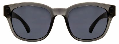 Picture of INVU Sunglasses INVU-141