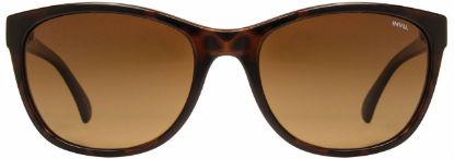 Picture of INVU Sunglasses INVU-143