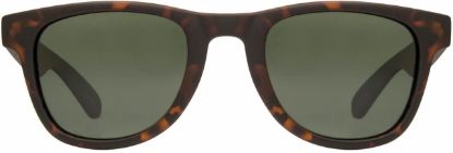 Picture of INVU Sunglasses INVU-147