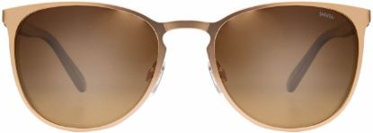 Picture of INVU Sunglasses INVU-155