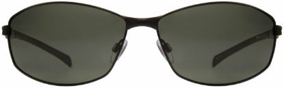 Picture of INVU Sunglasses INVU-156