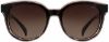 Picture of INVU Sunglasses INVU-174