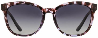 Picture of INVU Sunglasses INVU-175