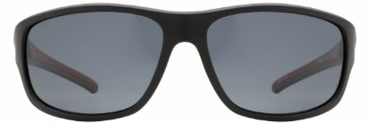 Picture of INVU Sunglasses INVU-176