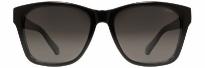 Picture of INVU Sunglasses INVU-182