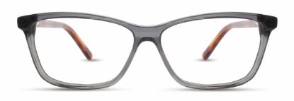 Picture of Adin Thomas Eyeglasses AT-302