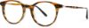 Picture of Toms Eyeglasses COLLINS