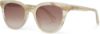 Picture of Toms Sunglasses MARLOWE