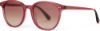 Picture of Toms Sunglasses BELLINI