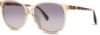 Picture of Toms Sunglasses SANDELA