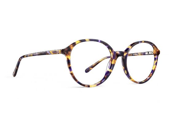 Picture of Rip Curl Eyeglasses RIP CURL-RC 2096